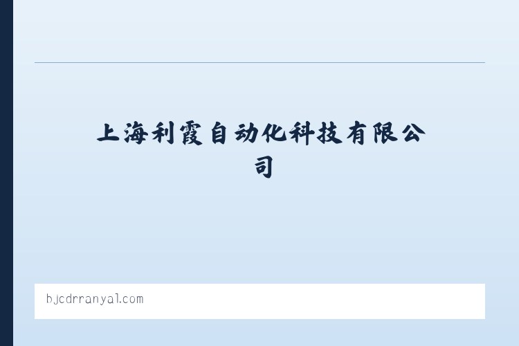 上海利霞自动化科技有限公司 列表图