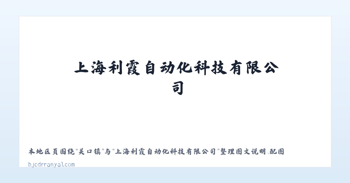 上海利霞自动化科技有限公司 主图